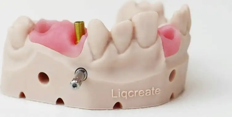 Liqcreate Gingiva Mask, 250 G 4 Liqcreate Gingiva Mask, 250 G - Image 2